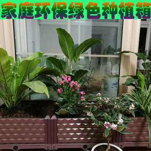 特大阳台种菜盆长方形家庭屋顶菜园塑料种菜花盆花槽 蔬菜种植箱