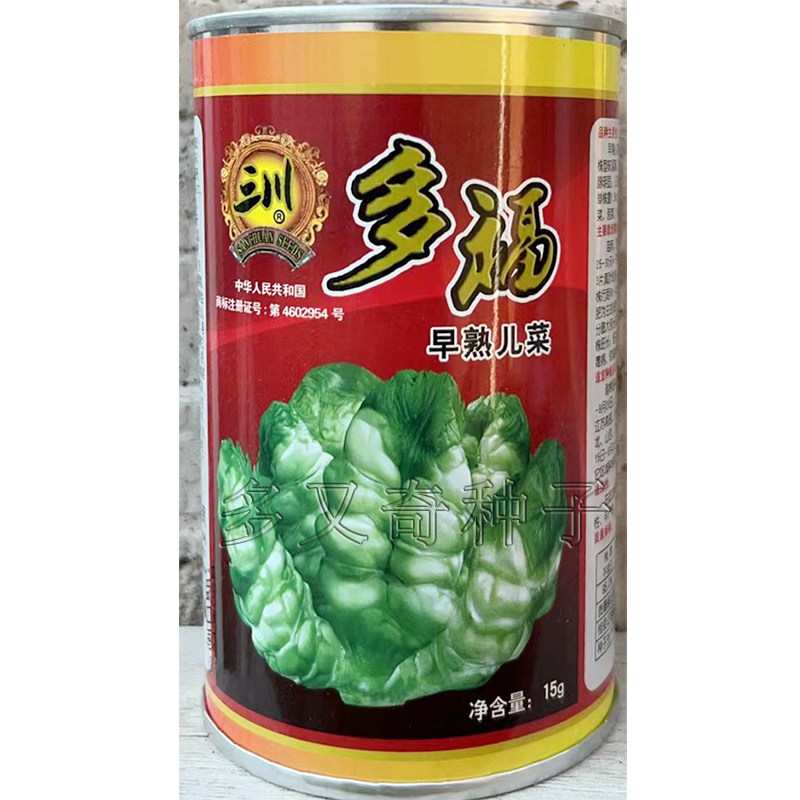 早熟多福儿菜种子 秋播早熟绿白色超生菜娃娃菜孢子芥菜蔬菜种子