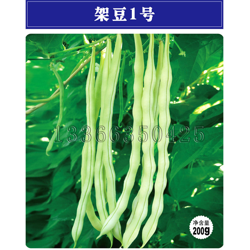 架豆1号种子 春播中熟浅白绿条四季豆菜豆种子肉厚品质好蔬菜种子,农用物资,蔬菜种子/种苗,淘宝优惠券,粉丝福利购,淘宝优惠卷