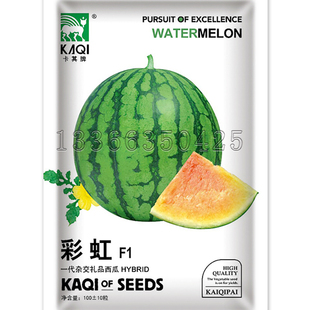 彩虹西瓜种子 春播早熟薄皮高圆形橙红乳黄色瓤酥脆多汁水果种子