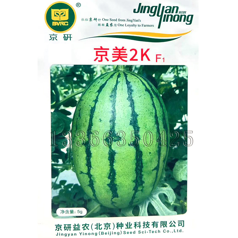 京美2k西瓜种子 春秋播早熟皮蔬菜种子/种苗