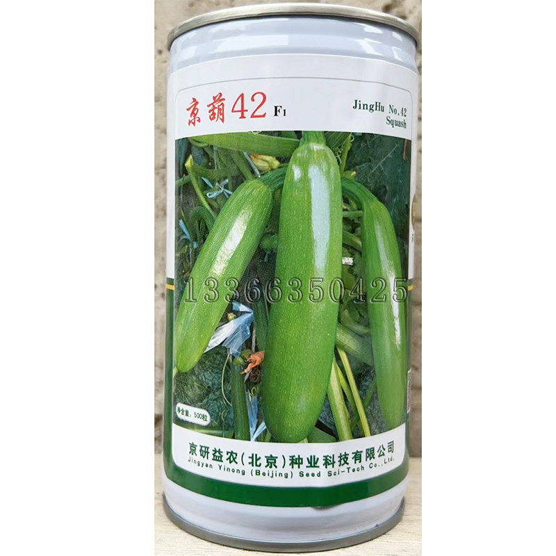 京葫42西葫芦种子 春秋越冬棚室栽培角瓜翠绿有光泽农科院蔬菜籽