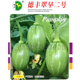 翠早二号南瓜种子 春播早熟短椭圆形浅绿皮花斑菜嫩南瓜蔬菜种子