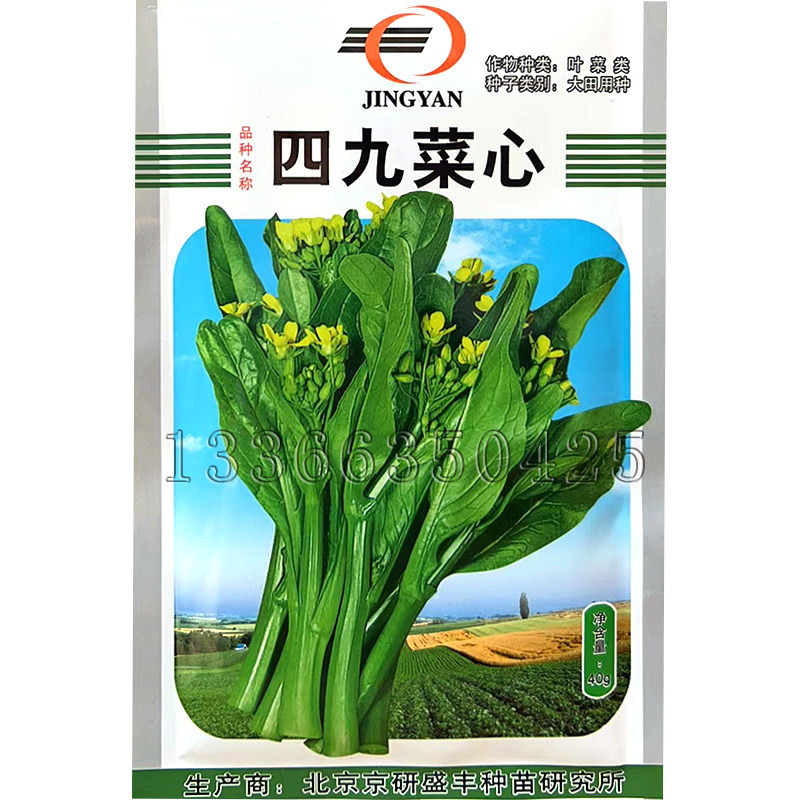 四九菜心种子 春播早熟叶苔青绿色纤维少品质好耐湿热菜苔蔬菜籽