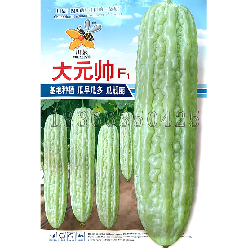 金玉帝苦瓜种子 春播早熟白绿皮粗棒形挂果多条棱粗长光洁凉瓜籽