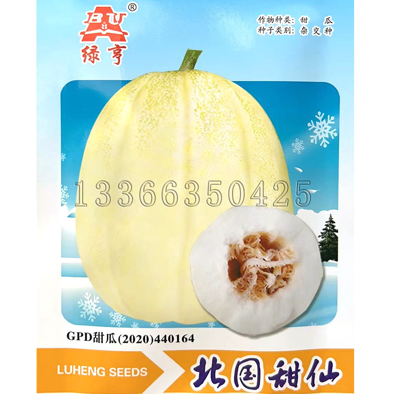 北国甜仙甜瓜种子 春播早熟黄白薄皮香瓜种子脆甜甘面耐裂水果籽