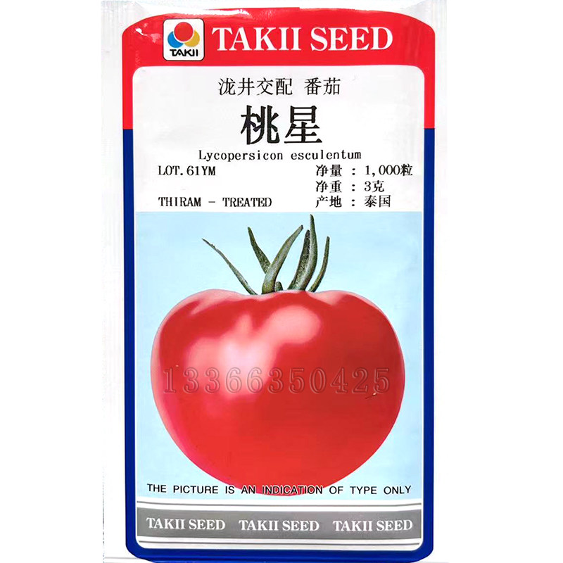 桃星番茄种子 春播日本进口泷井粉果西红柿种子硬度糖度高口感好