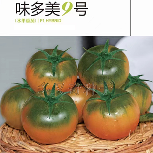 味多美9号番茄种子 春秋播草莓番茄水果西红柿种子酸甜细腻口感好