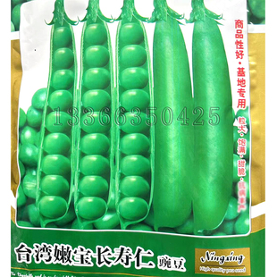 台湾嫩宝长寿仁甜豌豆种子 春秋播水果豌豆菜豆甜脆白花蔬菜种子