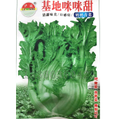 基地咪咪甜青菜种子 秋播奶奶菜种子茎秆多口感好酸菜芥菜蔬菜籽