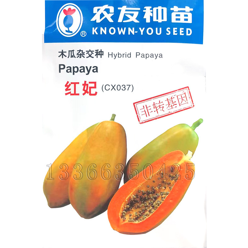 红妃木瓜种子春秋播早熟