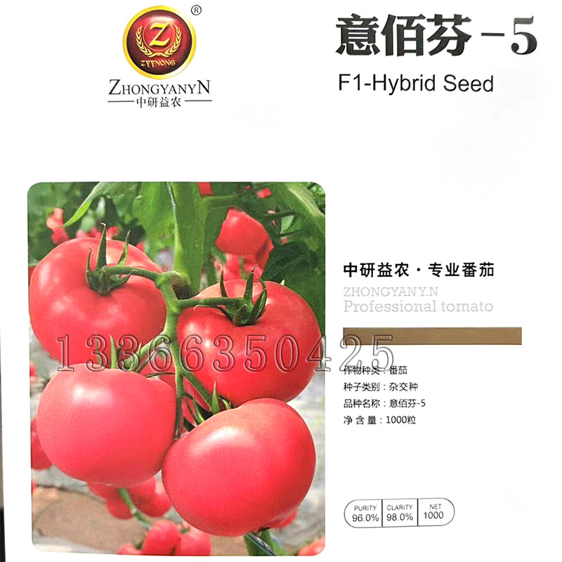 意佰芬-5番茄种子 春秋播粉红大果西红柿种子硬度好抗病蔬菜种子