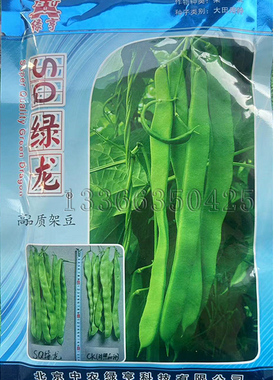 SQ绿龙架豆种子 扁条架豆种子肉厚耐老化肉质嫩糯菜豆种子蔬菜籽