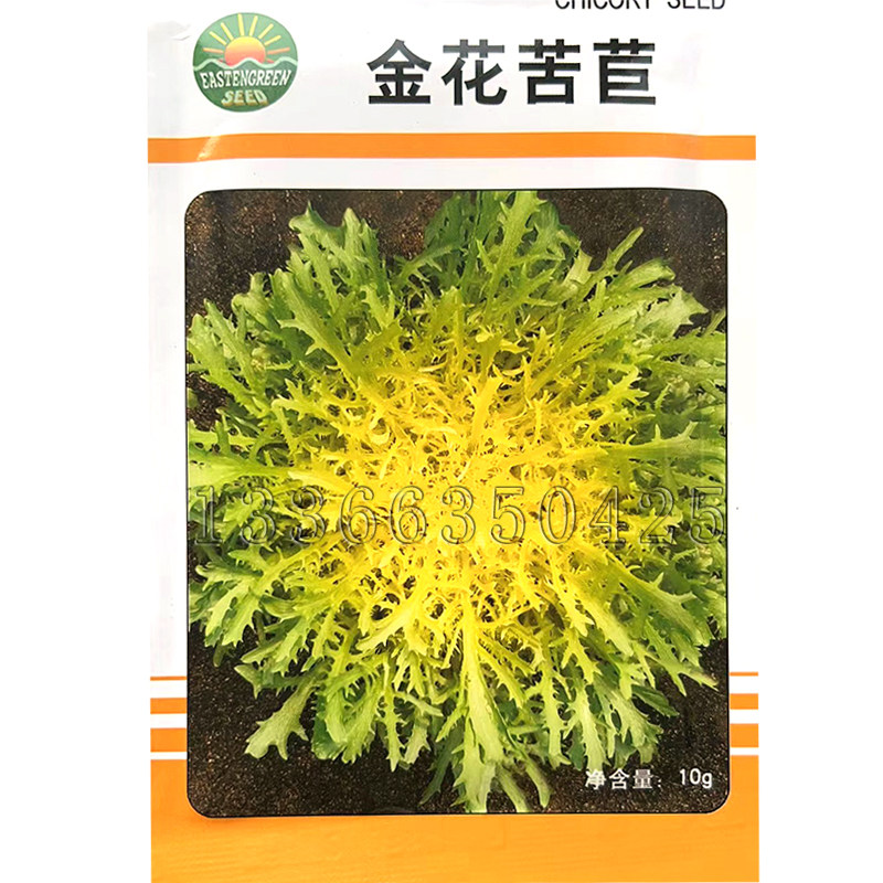 金花苦苣种子 春秋碎叶心叶黄白色苦菊菜种子熟食凉拌苦味蔬菜籽