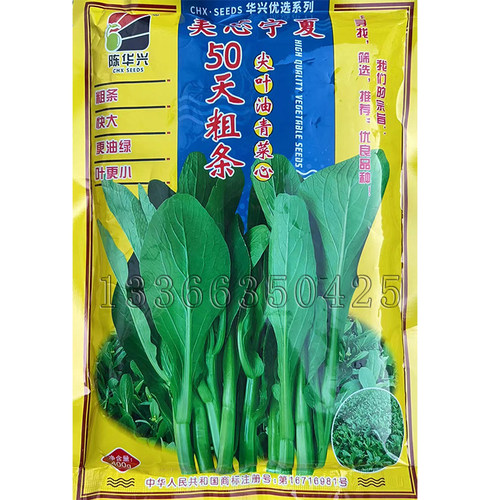 广东菜心种子50天70天80天尖叶油青甜菜心种子秋冬播菜苔蔬菜种子