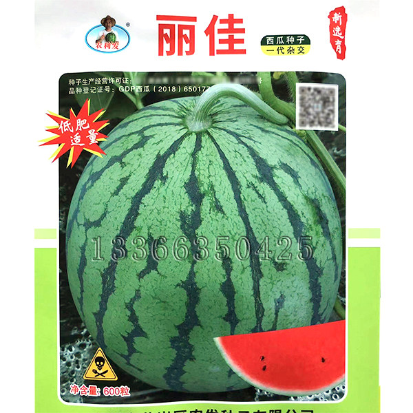 丽佳西瓜种子 春播中早熟大红瓤有籽西瓜种子肉质松脆多汁水果籽