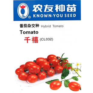 春秋播椭球形桃红色樱桃小番茄柿子种口感好蔬菜籽 千禧番茄种子