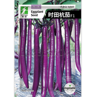 时田杭茄种子 春秋播早熟紫红细长茄种子肉质香糯口感好蔬菜种子