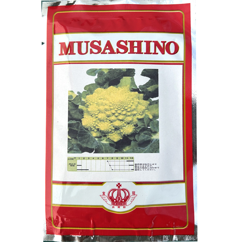 日本宝塔菜种子 秋播罗马花椰菜富贵塔耐寒肉质细腻黄绿蔬菜种子
