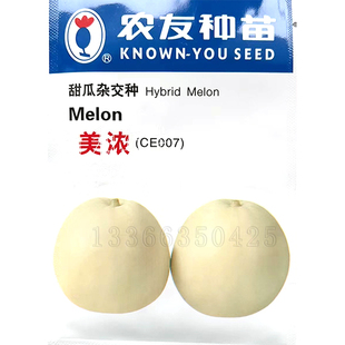 美浓甜瓜种子  台湾农友薄皮梨形淡黄白皮淡白肉细腻香瓜水果种子