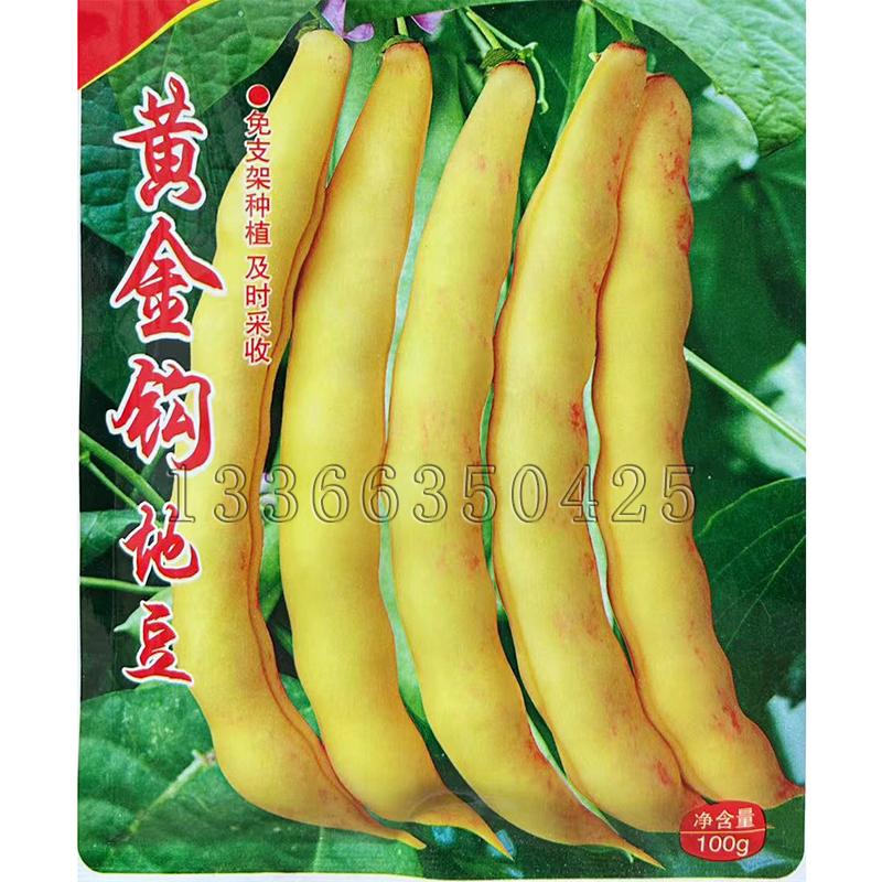 黄金钩地豆种子 春播早熟免搭架东北菜豆角种子纤维少肉厚蔬菜籽