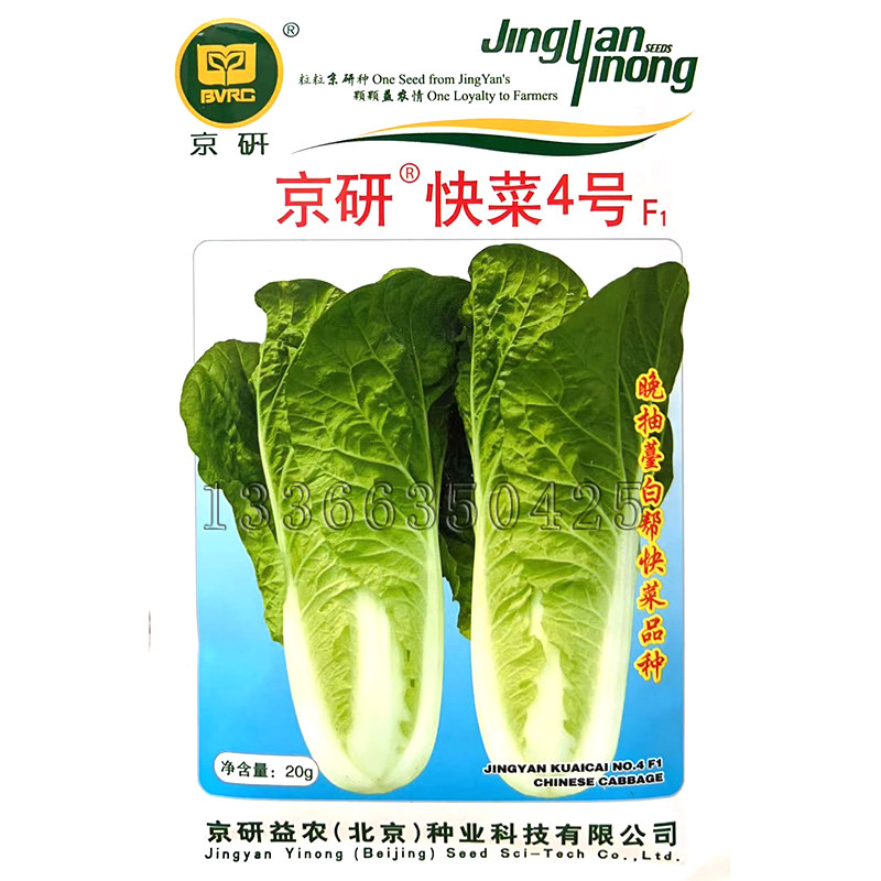 京研快菜4号白菜种子 春秋耐热耐湿浅绿叶白帮柔软晚抽薹蔬菜种子