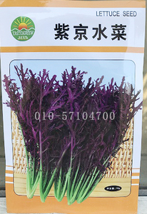 紫京水菜种子|紫色芥菜种子 春秋蔬菜种子 京水菜种子 北京蔬菜种