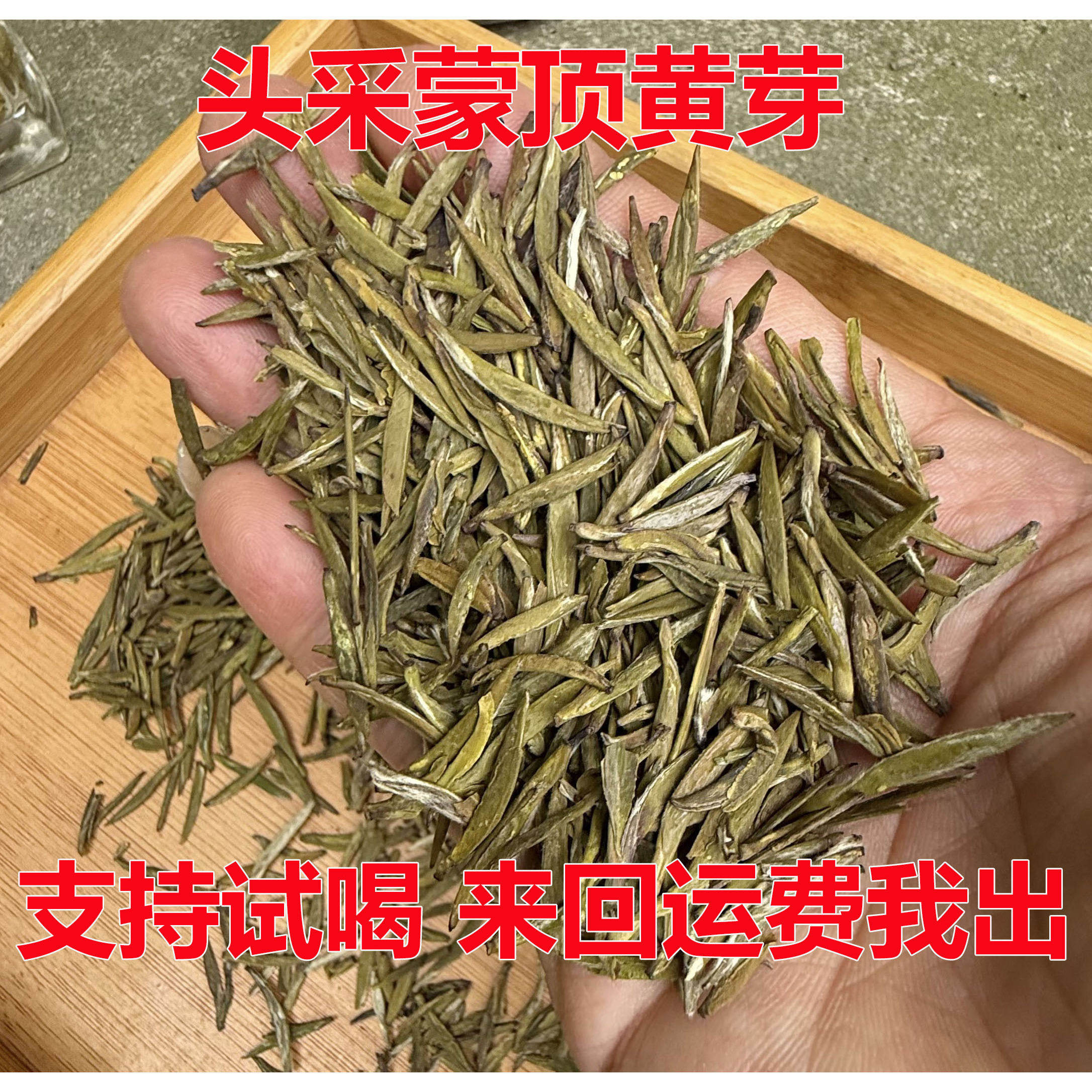 蒙顶黄芽2026新茶黄茶散装四川雅安蒙顶山茶明前茶早春茶100克起