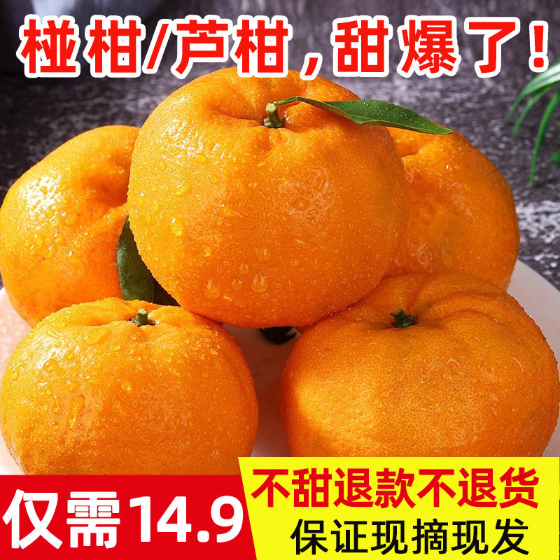 椪柑芦柑新鲜柑橘桔子丑桔子四川碰柑包邮整箱应当季孕妇水果10斤