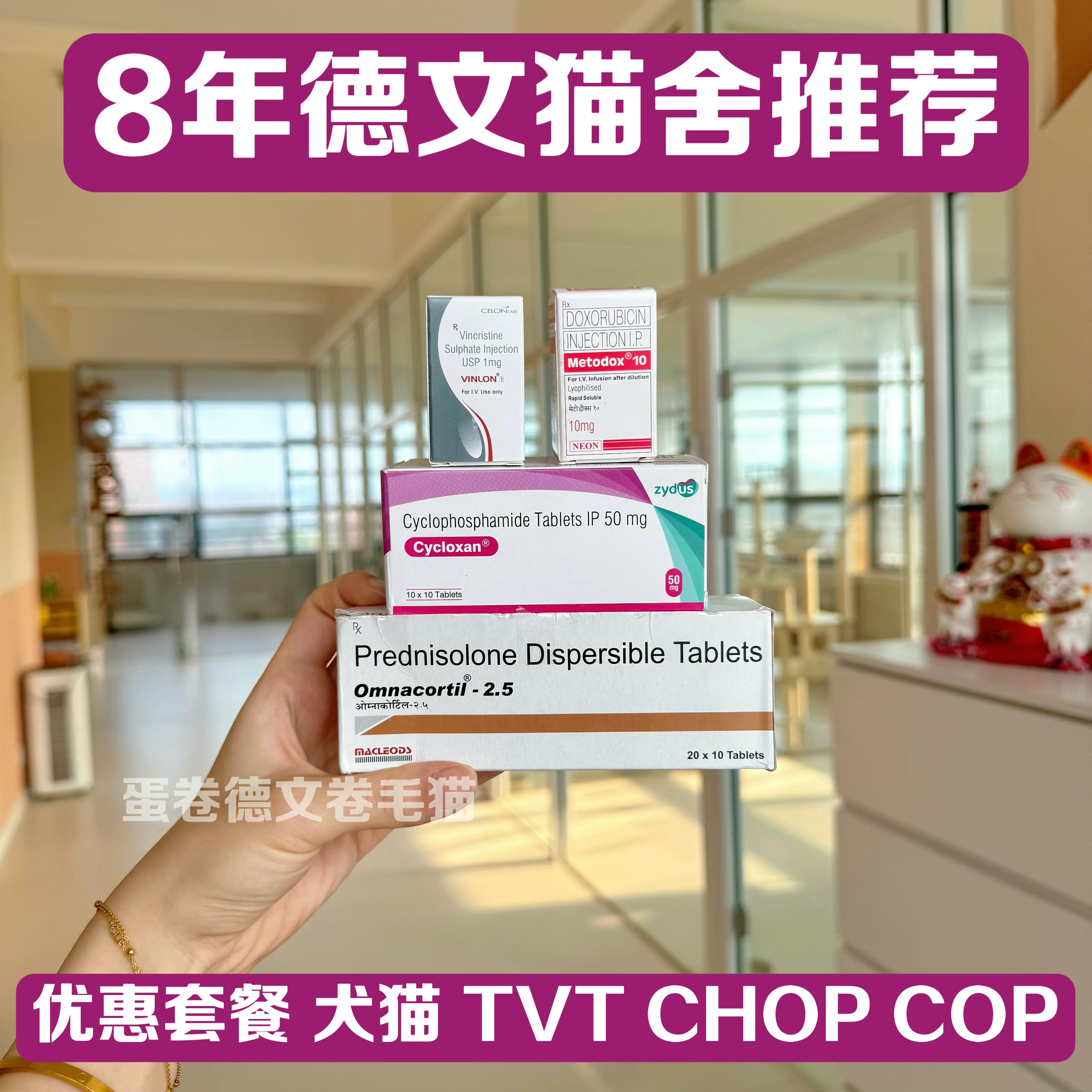 【顺丰包邮】长春新碱+环磷酰胺+泼尼松龙犬猫淋巴瘤犬TVT套餐