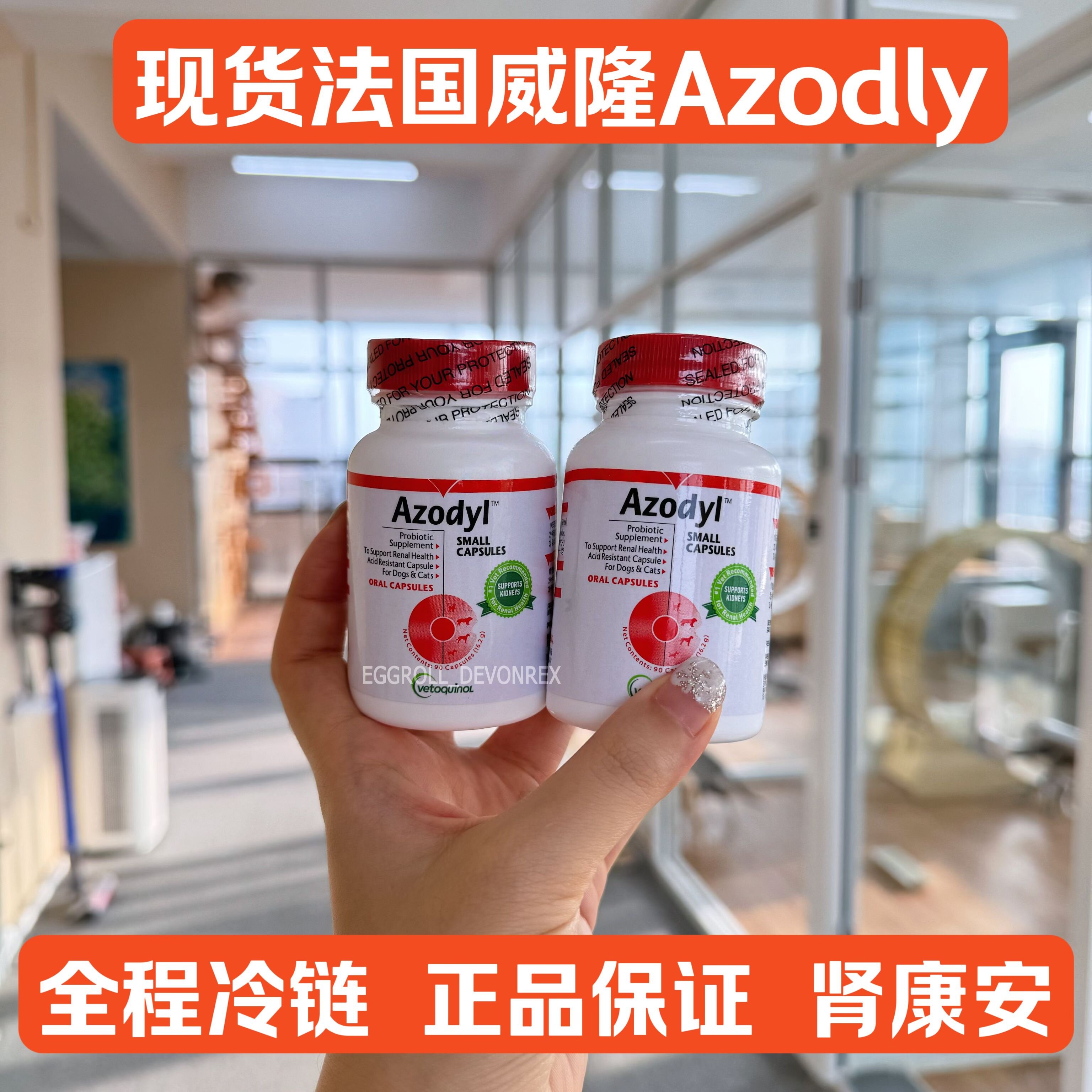 【顺丰冷链】法国威隆azodyl犬猫肾脏问题肾康安慢性肾病胶囊90粒