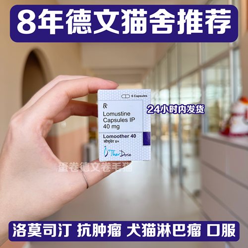【顺丰空运】印度洛莫司汀胶囊犬猫肿瘤化疗药猫淋巴瘤犬脑肿瘤
