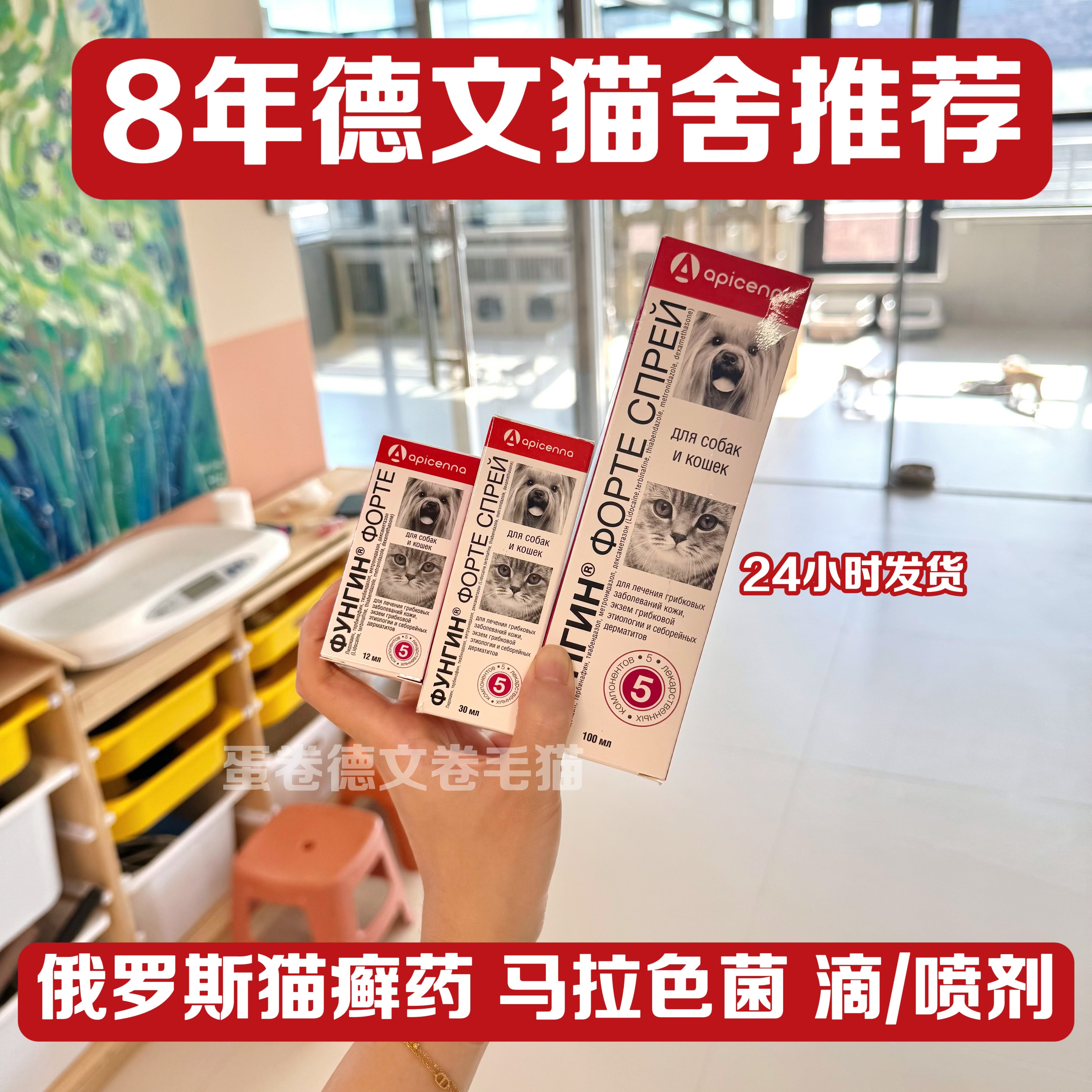 俄罗斯猫癣猫藓apicenna猫狗真菌马拉色菌皮肤问题进口高效包邮