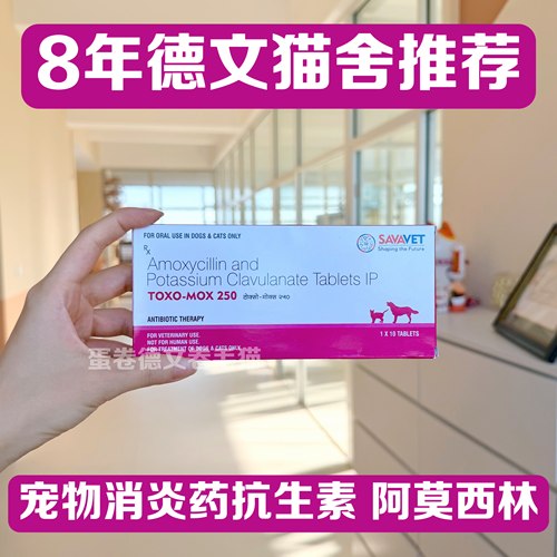 印度TOXO-MOX250宠物阿莫西林克拉维酸钾片SAVAVET犬猫口服片剂