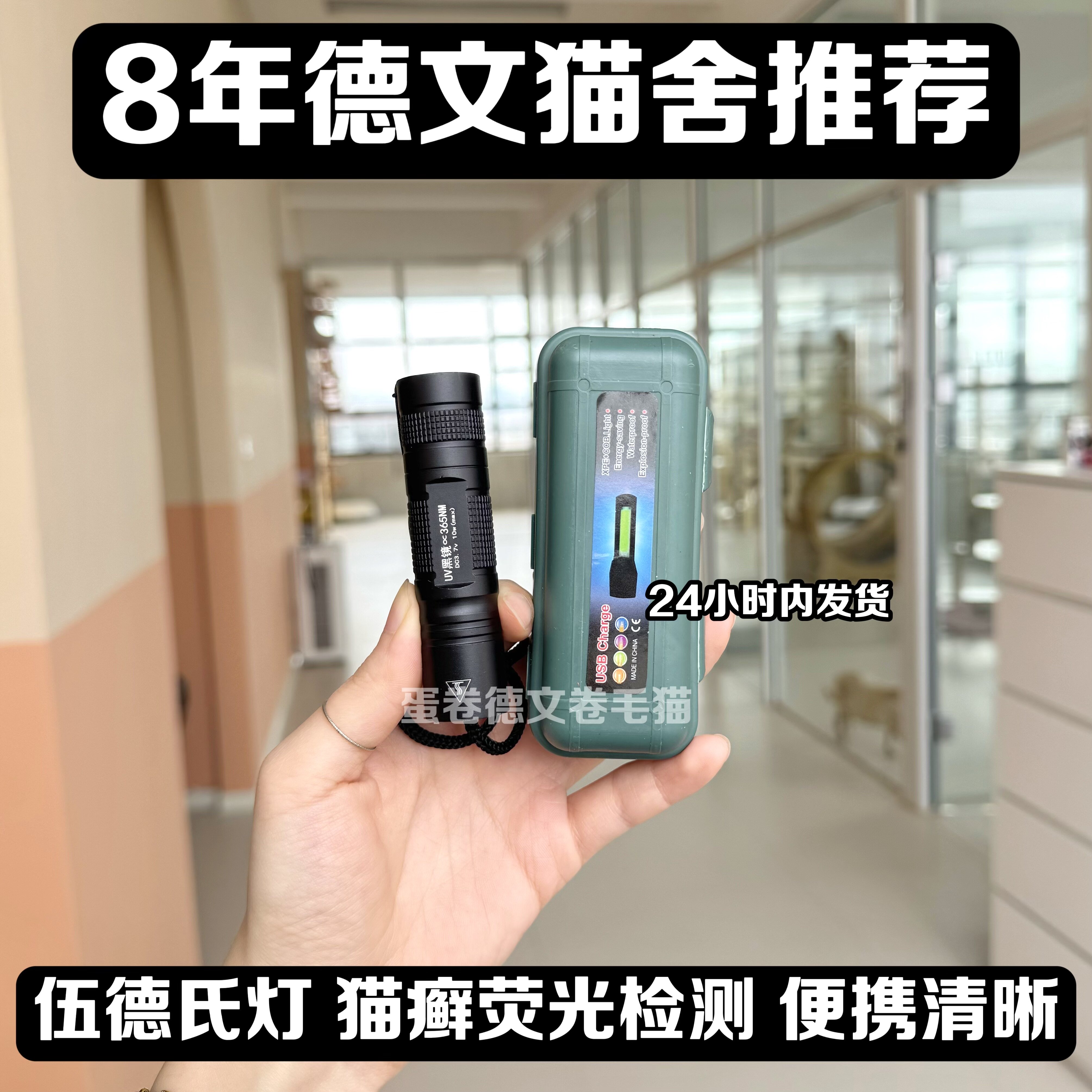 伍德氏灯猫癣猫藓灯荧光剂检测usb充电防伪验钞10w迷你便携带清晰