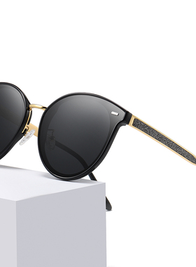 墨镜时尚复古风偏光旅行太阳眼镜