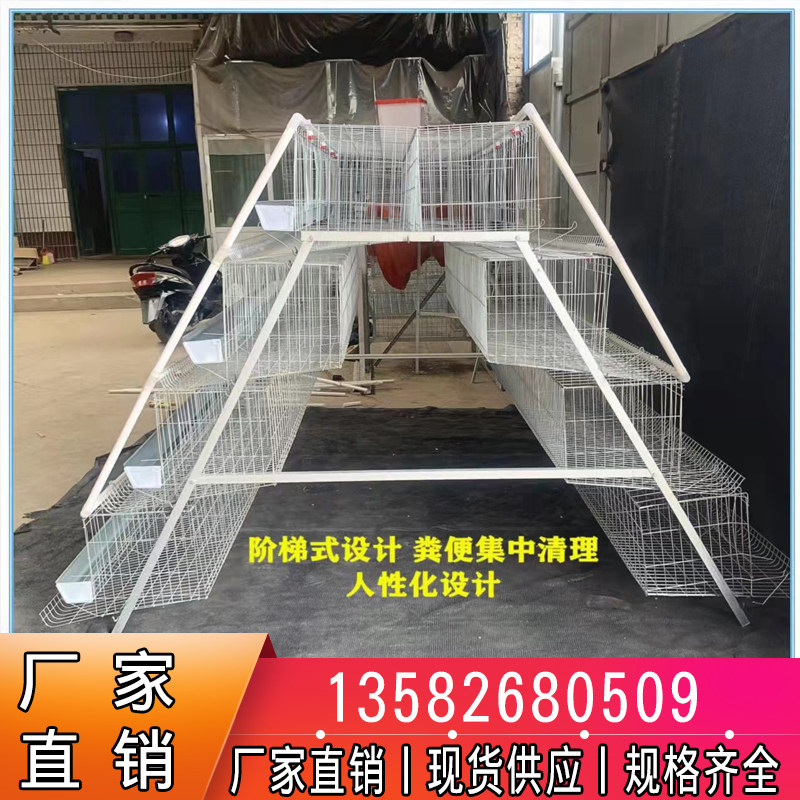 优质蛋鸡笼养殖场专用笼鸡笼子阶梯式蛋鸡笼养鸡设备养殖鸡笼全套_虎窝淘