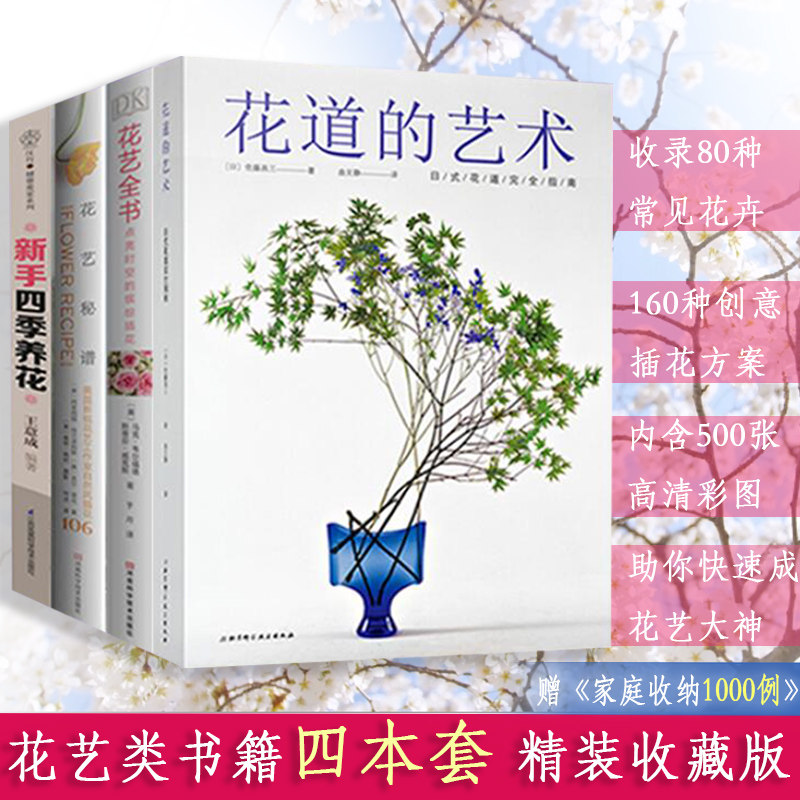 多肉花园设计多少钱 多肉花园设计优惠券免费领取 有条鱼