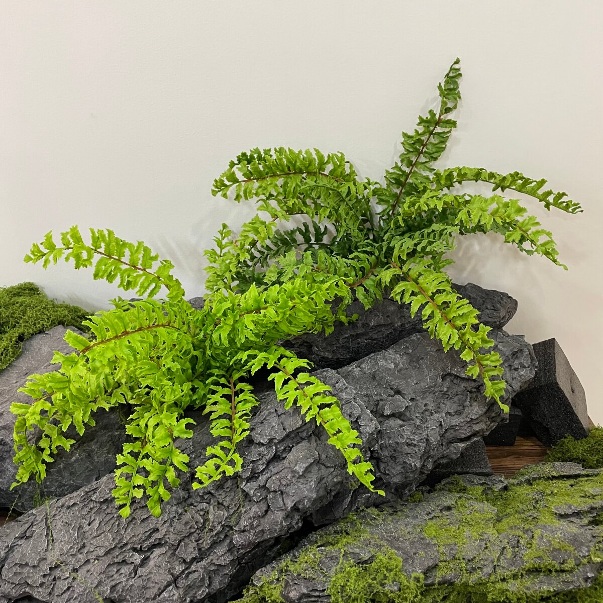 仿真波斯草帝王波草蕨背景墙装饰
