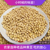 2025非转基因农家老品种黄豆打豆浆专用优质土黄豆农场直发
