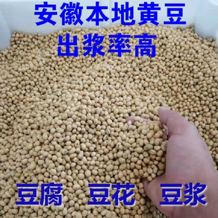 2025新豆安徽黄豆商用非转基因打豆浆做豆腐豆腐脑 豆花专用45斤