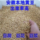 2025新豆安徽黄豆商用非转基因打豆浆做豆腐豆腐脑 豆花专用50斤