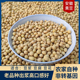2025年新豆黄豆老品种打豆浆专用 非转基因 做豆腐豆花3斤装