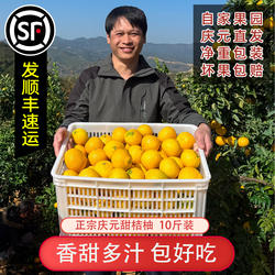 25年正宗庆元甜桔柚甜橘柚甜心柚汁多香甜10斤礼盒比建阳桔柚好吃