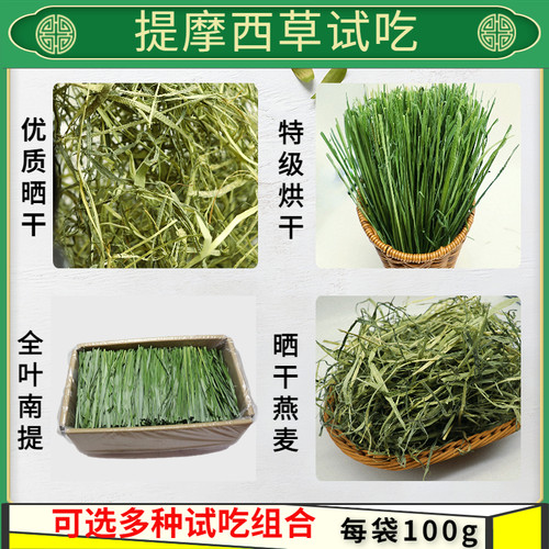 岷县提摩西草试吃不浪费