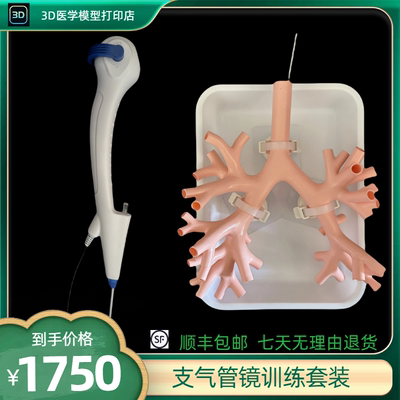 支气管镜模型训练拟用