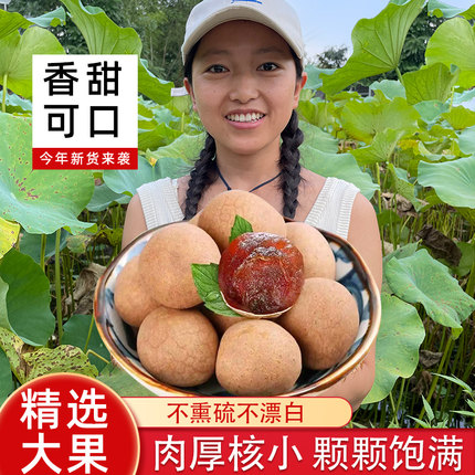 湘小暖桂圆干货 精选福建莆田特产壳薄肉厚桂圆干 龙眼干泡水泡茶