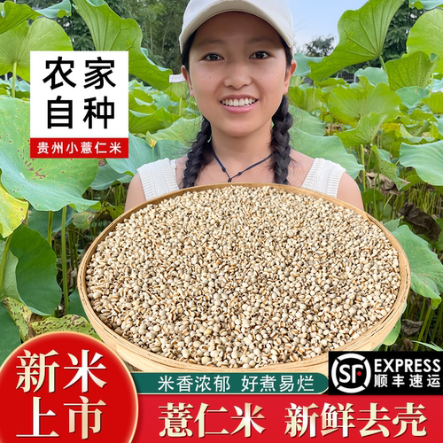 湘小暖贵州小薏米新货