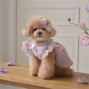 淑女款 宠物衣服狗狗猫咪春夏蕾丝飞袖 连衣裙小体泰迪比熊