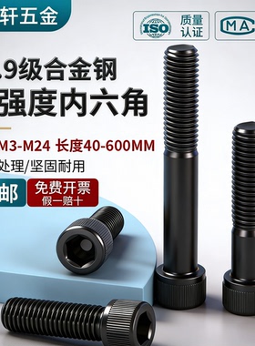 12.9级内六角螺丝M1.4-M24高强度杯头螺栓圆柱头螺钉M4M5M6M8m10
